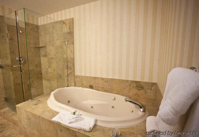 Towneplace Suites Detroit Warren Rum bild